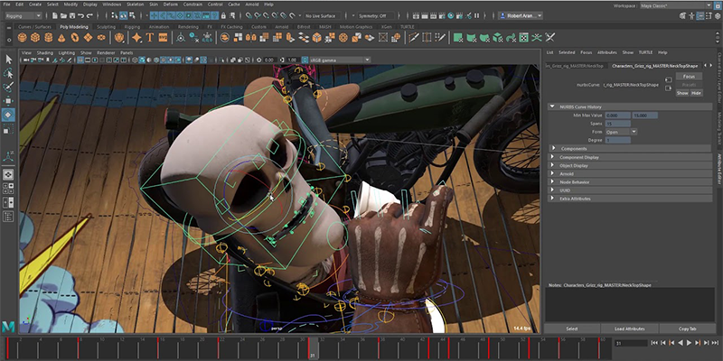 Softimage a 3D animation software.ï»¿ REPLY