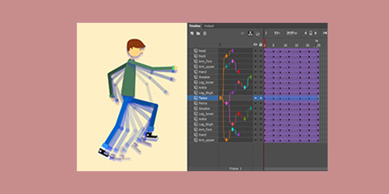 camera tool will not work in adobe animate cc 2019