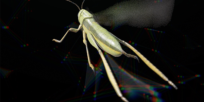 insect simulation Blender addon
