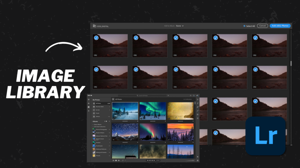 Lightroom's image library.