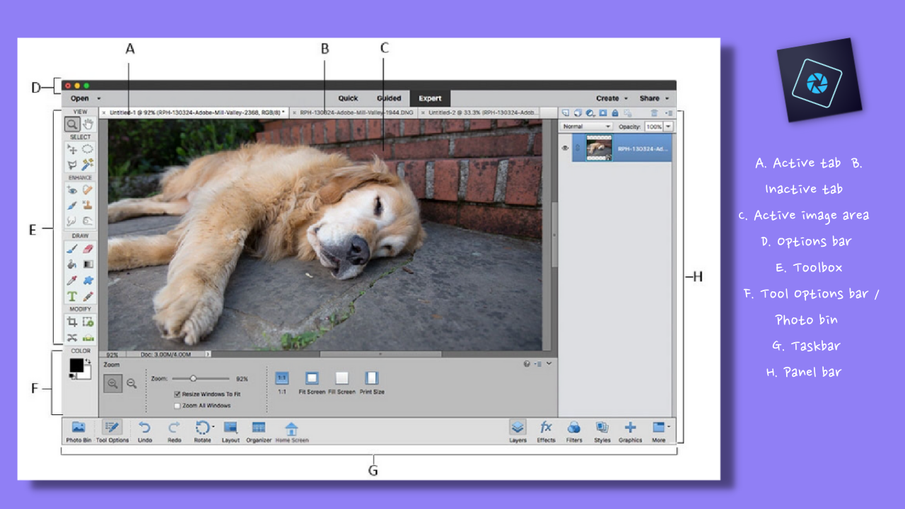 Adobe Photoshop Vs Photoshop Elements | Ultimate Comparison ...
