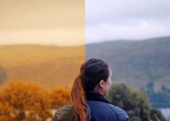 5 Best AI video editing software at InspirationTuts